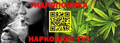 гидра Рузаевка