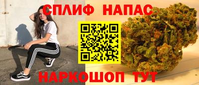 гидра Рузаевка
