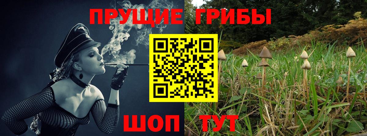 Сызрань  Галлюциногенные грибы Magic Shrooms  Вход с VPN  Псилоцибиновые грибы мухоморы 